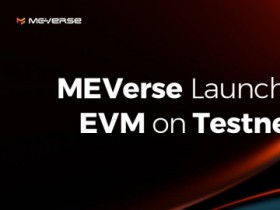 미투젠, 블록체인 메인넷 미버스 EVM 테스트넷 적용 완료